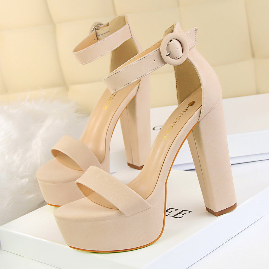 Women's Platform Sandals Block Heels Open Toe Ankle Strap Buckle